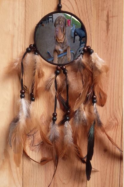 Pet Design Brown and Black