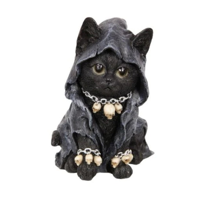 Gothic Cat Witch