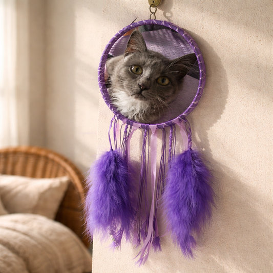 Purple Dreamcatcher