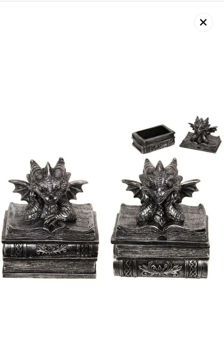 Silver Dragon on box of knowledge