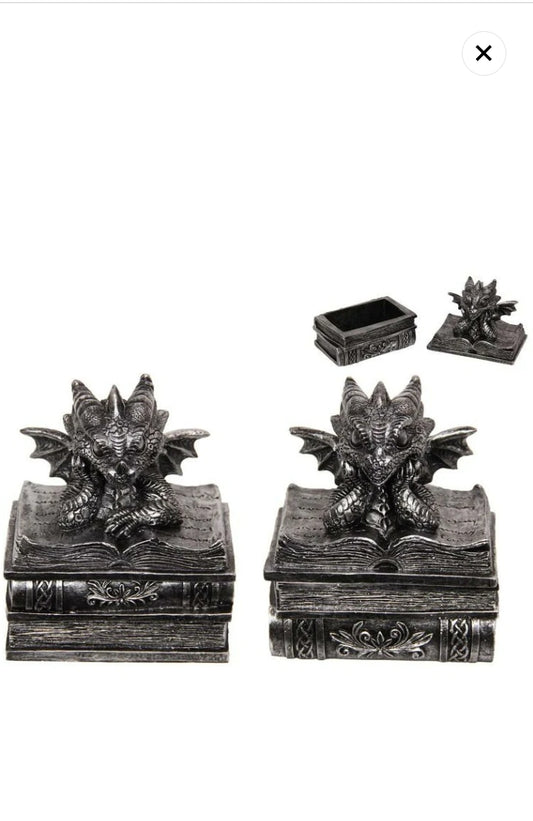 Silver Dragon on box of knowledge