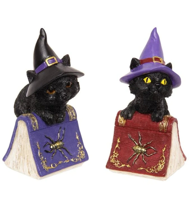 Cat Witch on Book of Spells