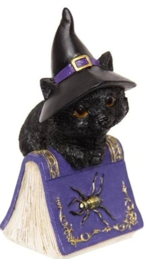 Cat Witch on Book of Spells