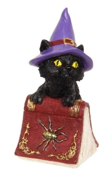 Cat Witch on Book of Spells